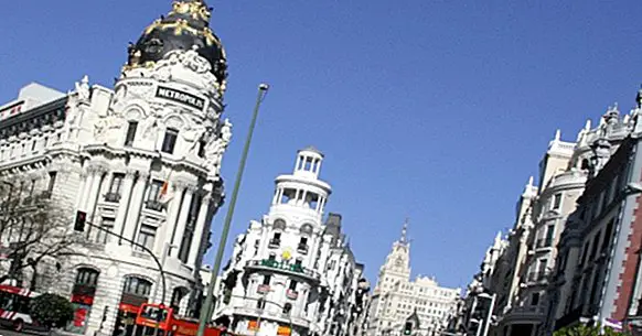 5 nejlepších sexuologů v Madridu (k účasti na terapii)