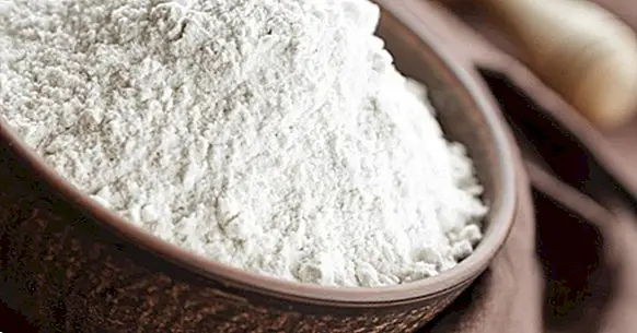 Xanthan gum: uses and properties of this ingredient