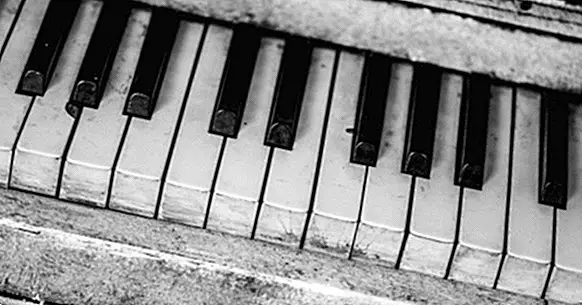 Произходът на музиката и нейните последици в живота ни
