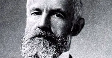 G. Stanley Hall: biografia e teoria do fundador da APA - biografias