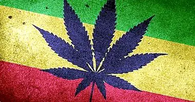 Cannabis ökar risken för psykotiskt utbrott med 40% - droger och missbruk