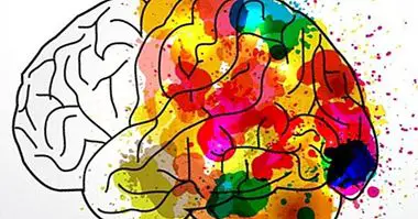 Spalvos psichologija: spalvų prasmė ir smalsumas - įvairūs