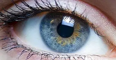 11 dijelova oka i njihove funkcije - neuroznanosti