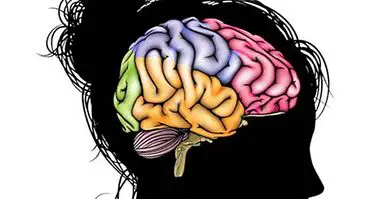 Hvorfor gør depression hjernen mindre? - neurovidenskab