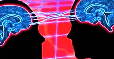 Er intercerebral kommunikasjon eksternt mulig? - nevrovitenskap