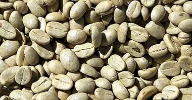 16 manfaat dan sifat kopi hijau - nutrisi