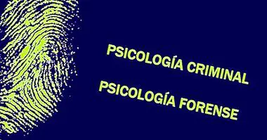 retsmedicinsk og kriminel psykologi