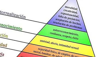 Piramid Maslow: hierarki keperluan manusia - psikologi