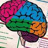 cognição e inteligência: Uma investigação conclui que a inteligência é essencialmente social