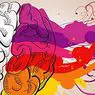The 14 keys to enhance creativity - cognition and intelligence