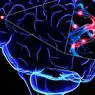 cognition et intelligence: Mémoire sélective: pourquoi ne nous souvenons-nous que de ce qui nous importe?