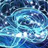 cognition et intelligence: Les 5 théories hiérarchiques de l'intelligence