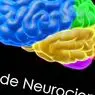 13 Књиге за неурологију за почетнике (веома препоручљиво) - култура