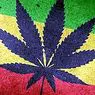 Drogen und Sucht: Cannabis erhöht das Risiko eines psychotischen Ausbruchs um 40%