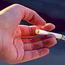 dadah dan ketagihan: 12 tabiat dan cara untuk menghalang merokok
