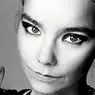 phrases and reflections: The 70 phrases of Björk with more personality