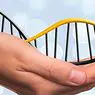 medicin og sundhed: Forskelle mellem DNA og RNA