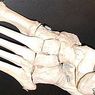 薬と健康: 人間の足には何本の骨がありますか？