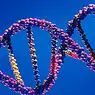 Top 10 poruch a genetických onemocnění - medicíny a zdraví