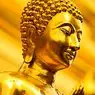 Ποια είναι η σχέση ανάμεσα στον Βουδισμό και την Ευαισθησία; - διαλογισμό και προσοχή