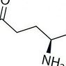 グルタミン（アミノ酸）：特徴と機能 - 神経科学