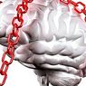 神経科学: 6つのストレスホルモンとその効果