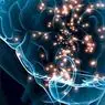 3 kortikosteroidų tipai ir jų poveikis organizmui - neurologijos