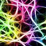 neurovědy: Zrcadlové neurony a jejich význam v neurorehabilitaci