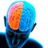 neurovědy: GABA (neurotransmiter): co to je a jakou roli hraje v mozku