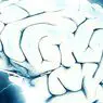 idegtudományok: 8 gyakori szokás, amely megöli az idegsejteket