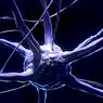 neurosciences: Engram: kesan yang menyebabkan kami meninggalkan otak