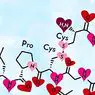 neuronauki: Czym jest oksytocyna i jakie funkcje pełni ten hormon?