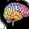 Why does depression make the brain smaller? - neurosciences