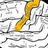 neuroteadused: Pretsentraalne pöörlemine: selle aju osa omadused ja funktsioonid