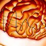 neurovedy: Typy mozgových vĺn: Delta, Theta, Alpha, Beta a Gamma