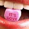 neurosciences: La chimie de l'amour: un médicament très puissant