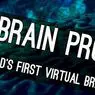 Blue Brain Project: smadzeņu atjaunošana, lai to labāk izprastu - neirozinātnes