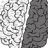 Mit értünk az agyban? - idegtudományok