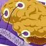 5 glavnih tehnologij za preučevanje možganov - nevroznanosti