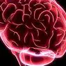 9 dopaminergních cest mozku: typy, funkce a související poruchy - neurovědy