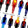 Opdag kroppens kort over følelser - neurovidenskab