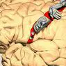 neurosciences: Korteks somatosensori: bahagian, fungsi dan patologi yang berkaitan
