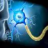 Esclerose múltipla: tipos, sintomas e possíveis causas - Psicologia clinica