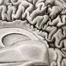 12 सबसे महत्वपूर्ण मस्तिष्क रोग - नैदानिक ​​मनोविज्ञान