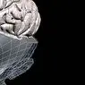 klinische Psychologie: Gehirnerschütterung: Symptome, Ursachen, Behandlung und Diagnose