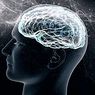 kliininen psykologia: 5 parasta neuropsykologian mestaria