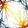 клиническая психология: Очаговая или частичная эпилепсия: причины, симптомы и лечение