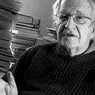 izobraževalna in razvojna psihologija: Teorija jezikovnega razvoja Noam Chomsky