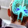 Neuroedukcia: učenie založené na neurovede - vzdelávacej a vývojovej psychológie