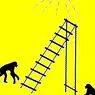 sociale psychologie en persoonlijke relaties: Het experiment van apen, bananen en ladders: het gehoorzamen van absurde normen